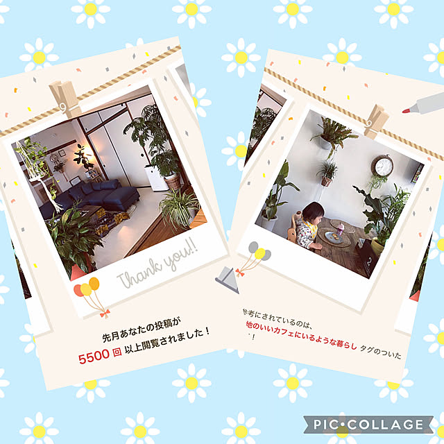 y..mama..さんの実例写真