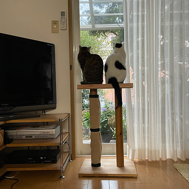 nobikoさんの実例写真