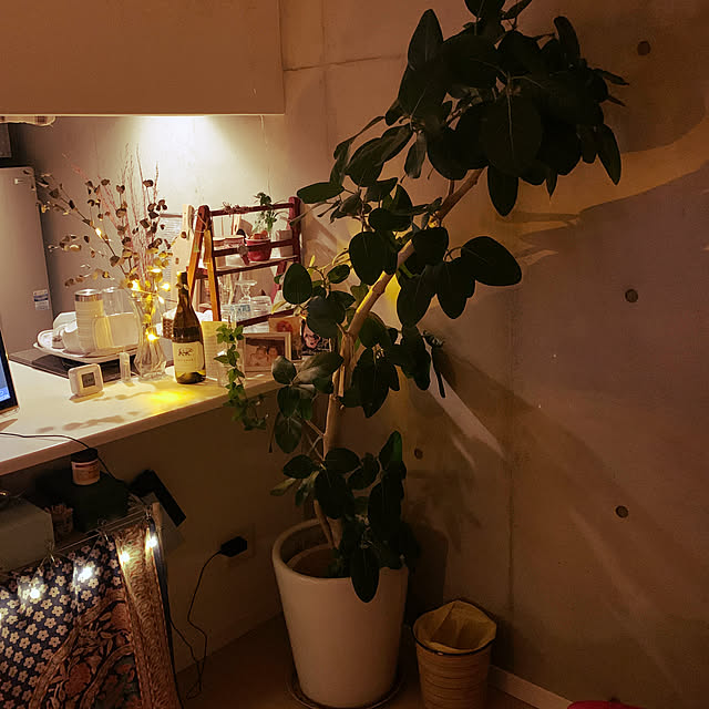 olive18さんの実例写真