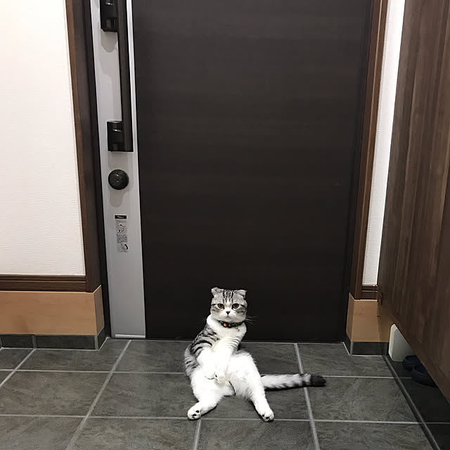 Dahliaさんの実例写真