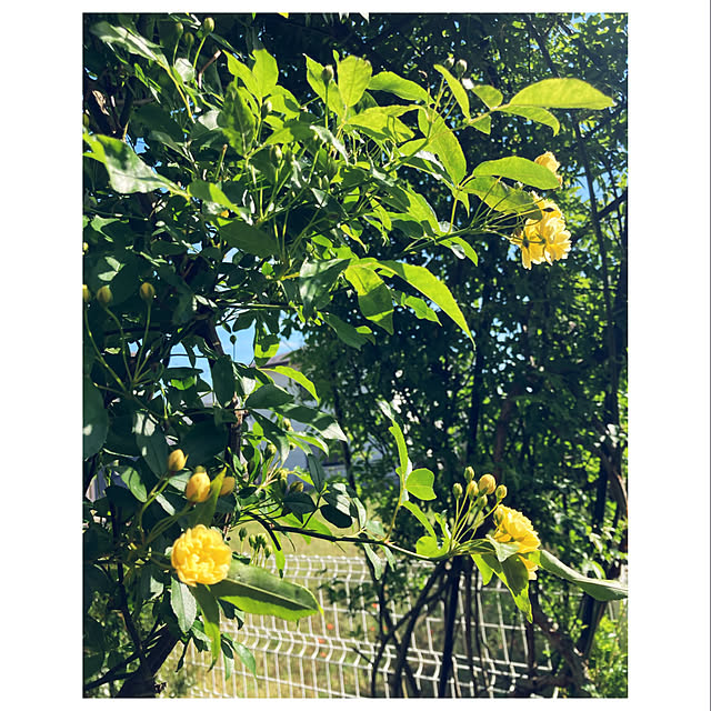CoCo0617さんの部屋