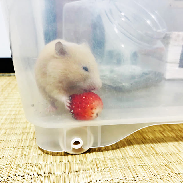 38さんの実例写真