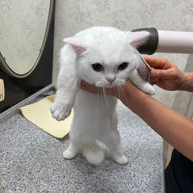 AYUKOさんの部屋