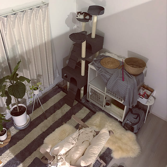 w_fox0713さんの実例写真