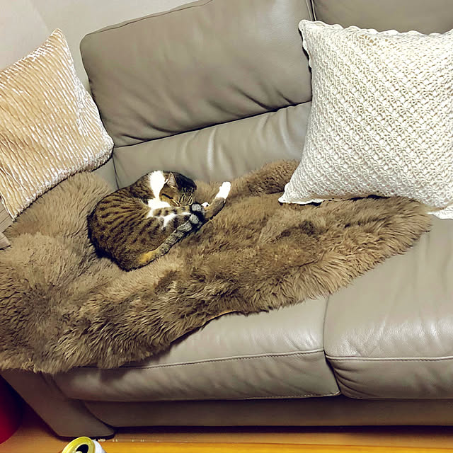 nnmmさんの実例写真