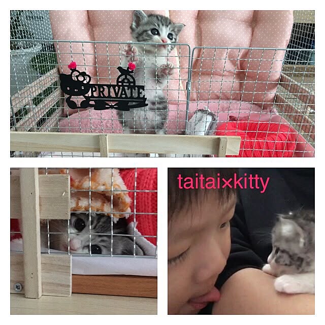 taitaiさんの実例写真