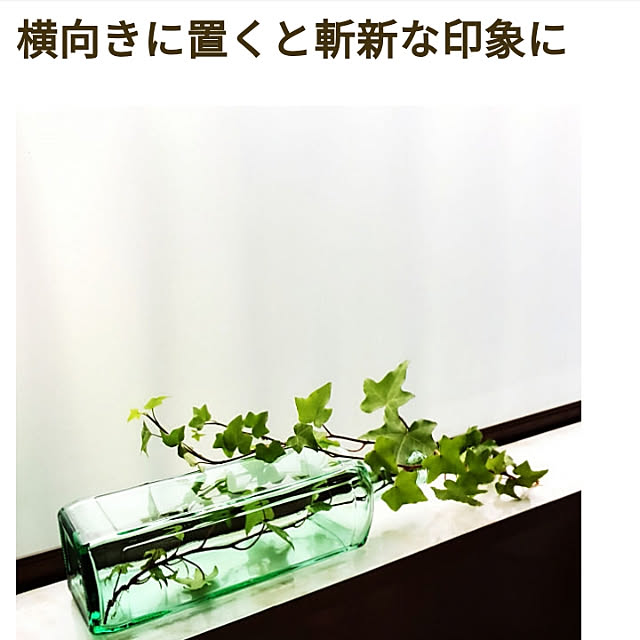 Renさんの実例写真