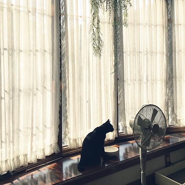 mahi1101さんの実例写真