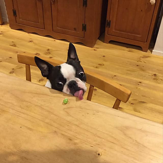 yumiさんの実例写真