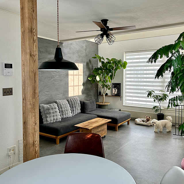 mocoさんの実例写真