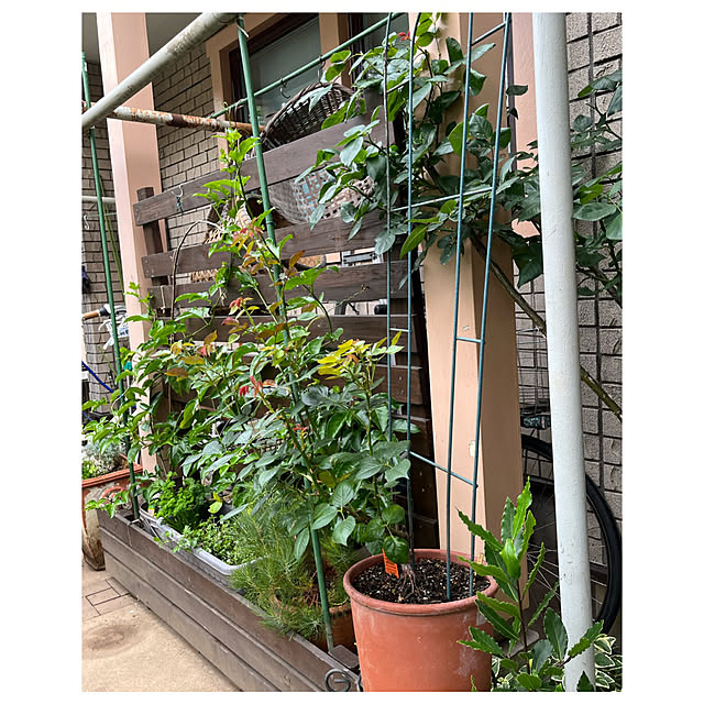botanさんの実例写真