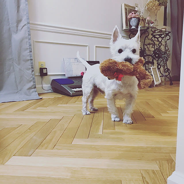 Rubanさんの実例写真