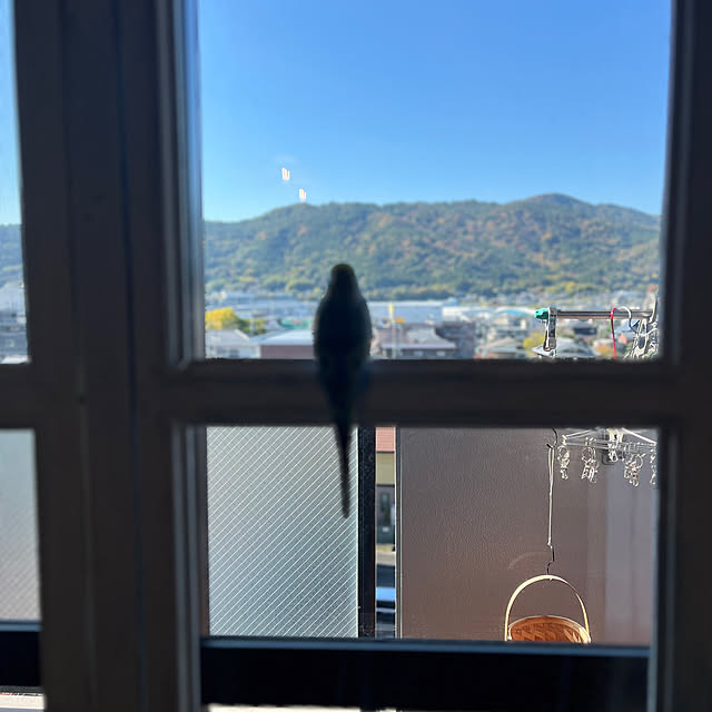 Atsukoさんの部屋