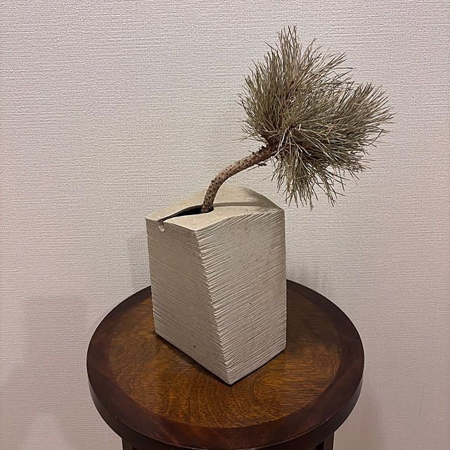 tricoさんの部屋