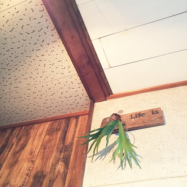 nacchoさんの実例写真