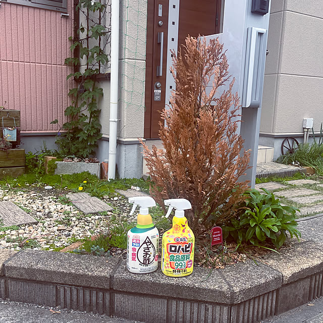 pekoさんの実例写真