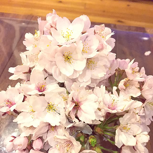 takayukiさんの実例写真
