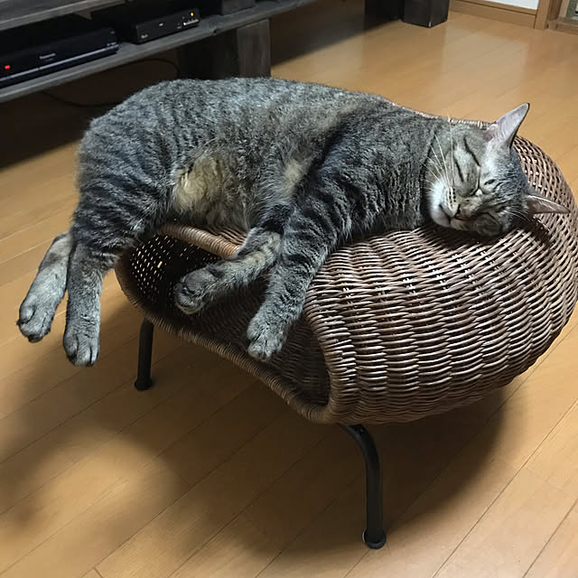 mikan161さんの実例写真