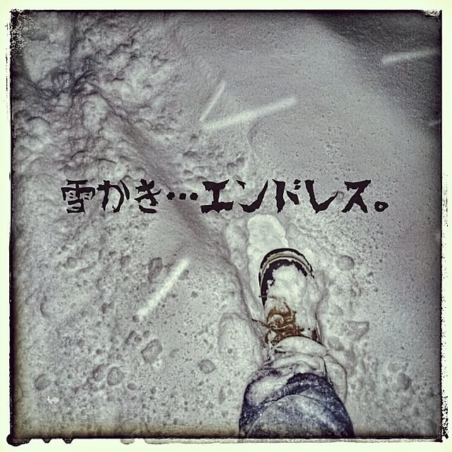 makotoさんの実例写真
