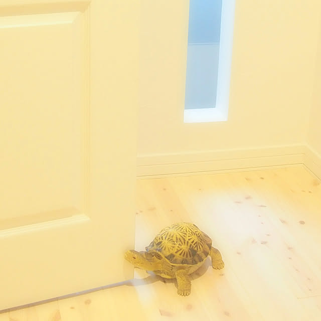Heroさんの実例写真