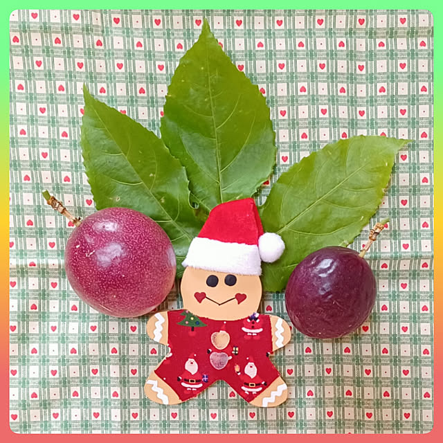 nanaさんの実例写真