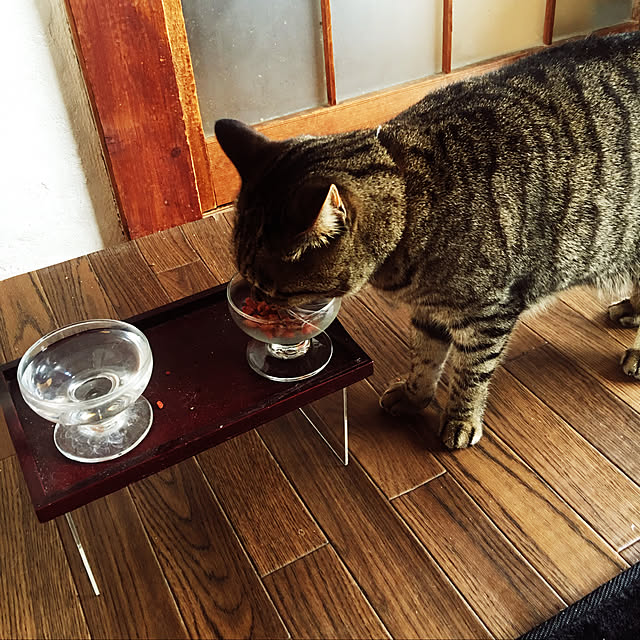 KINGさんの実例写真