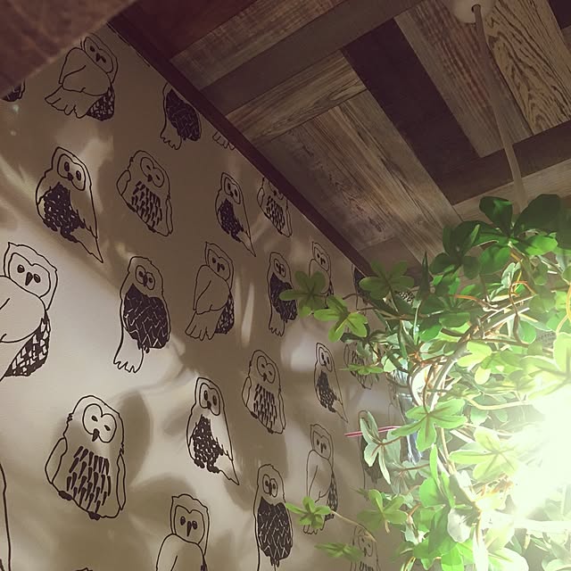 mitamaさんの実例写真