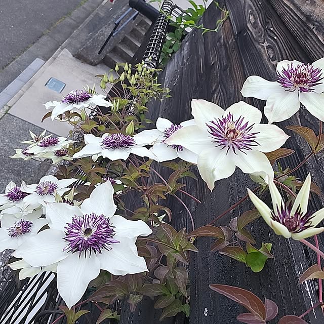 min_nimさんの実例写真