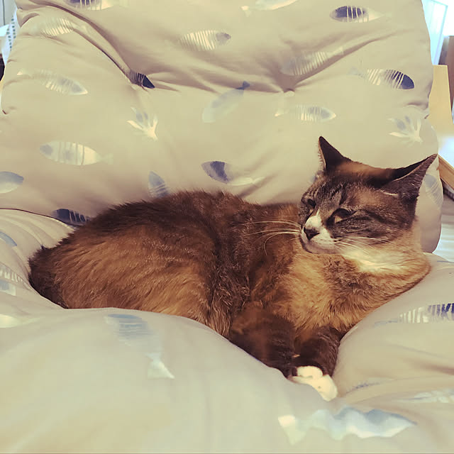 Decorseaさんの実例写真