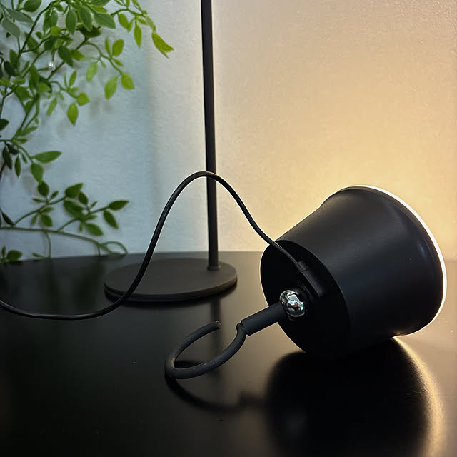 tomatoさんの部屋