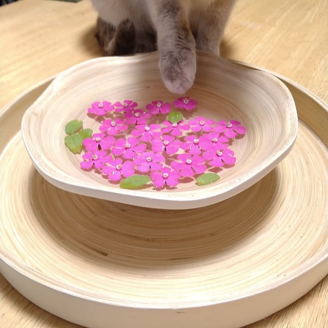 kiyohima229さんの実例写真