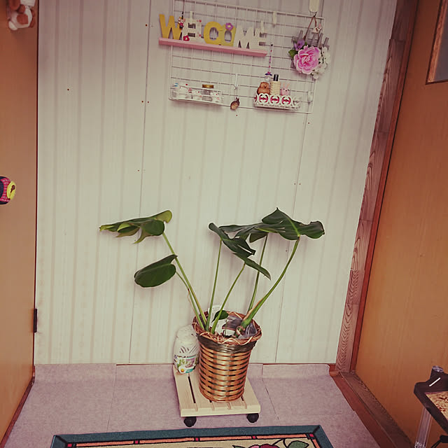 mokarinさんの実例写真