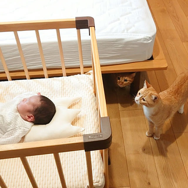 poteさんの実例写真