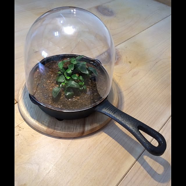 diybocchiさんの実例写真