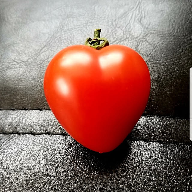 momozouさんの実例写真