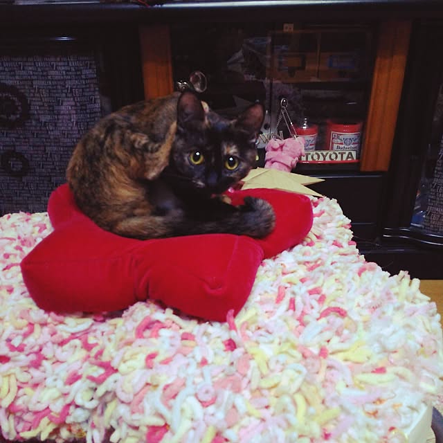 mcomcoさんの実例写真