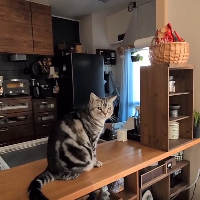 lovepeaceさんの部屋