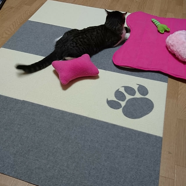 Reiさんの実例写真