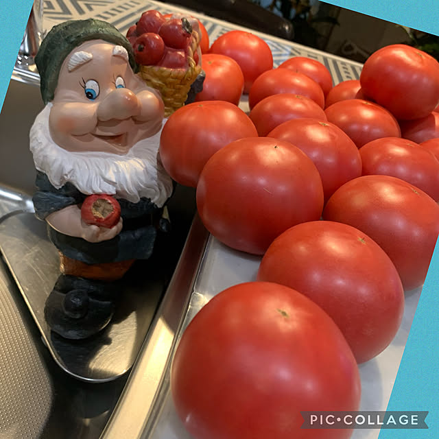 Aqettyさんの実例写真