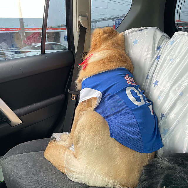 marinkoさんの実例写真