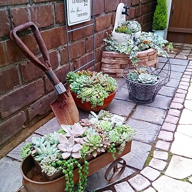 chachamaruさんの実例写真