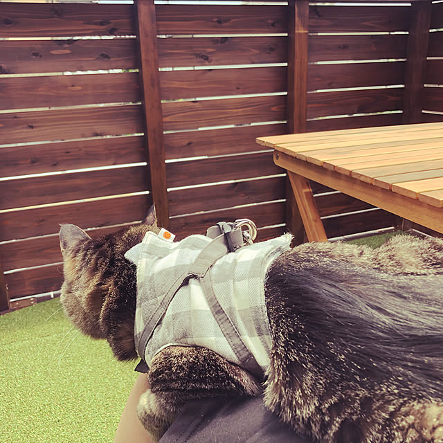 30_homeさんの実例写真