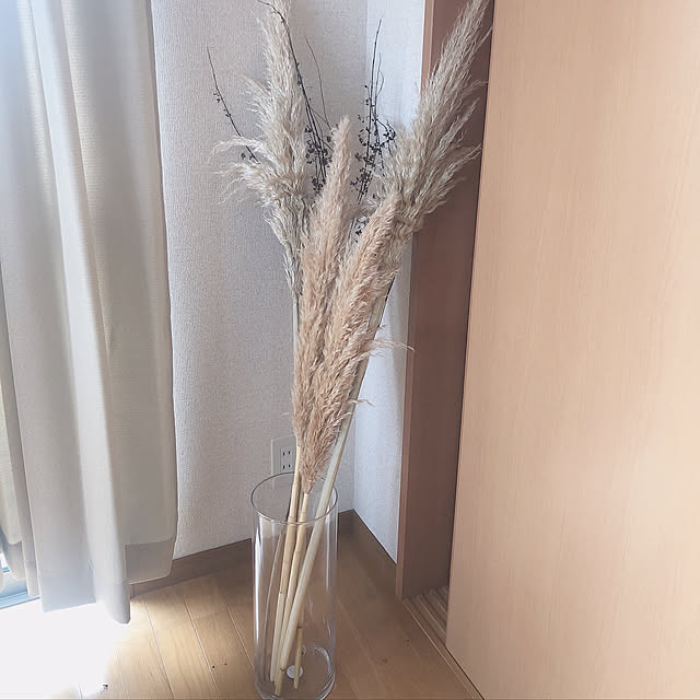 nz8rn2am5さんの実例写真