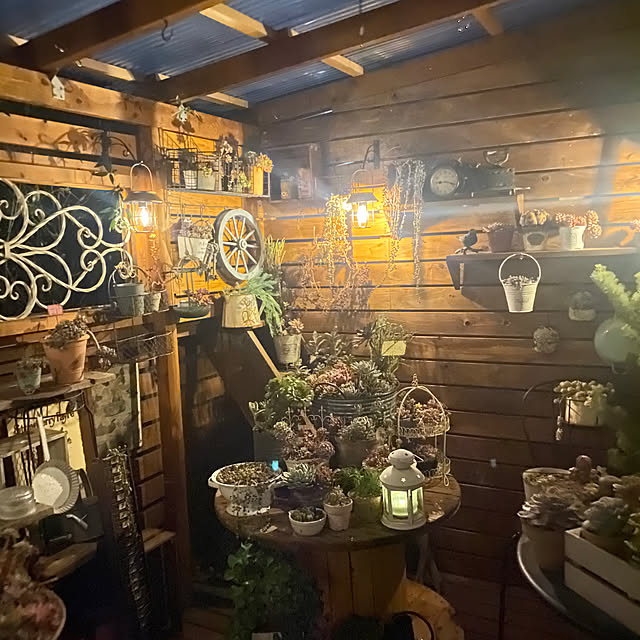 mintteaさんの部屋