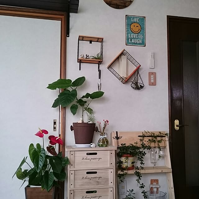 runaさんの実例写真