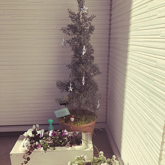 pinkflower_Potagerさんの部屋