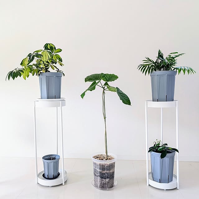 a.co.さんの実例写真