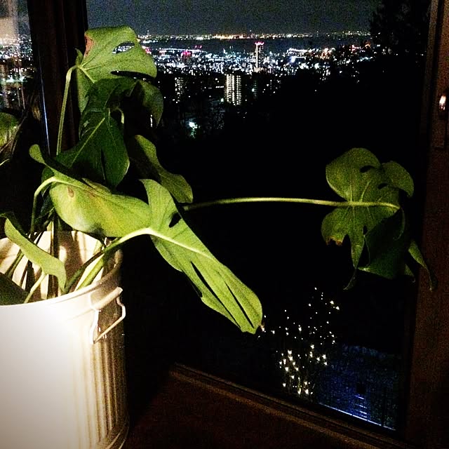 87さんの実例写真