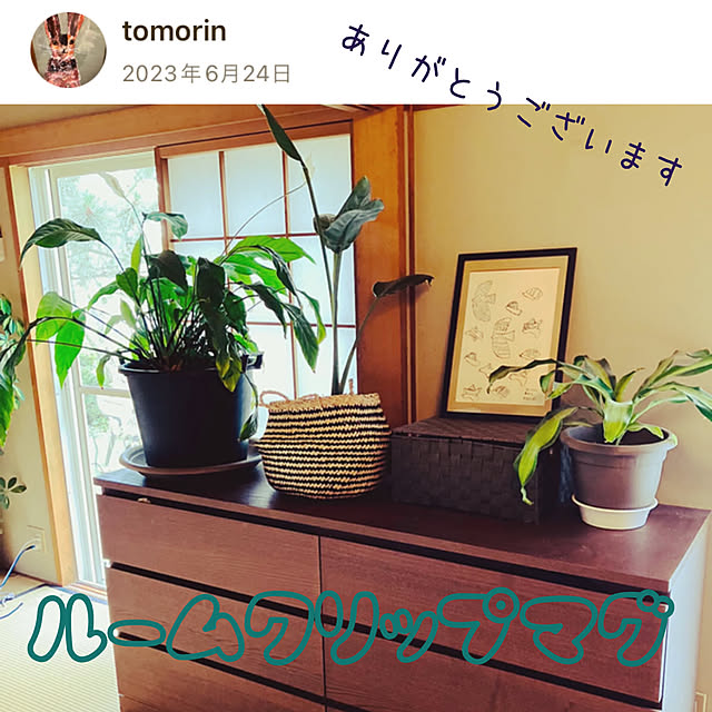 tomorinさんの実例写真