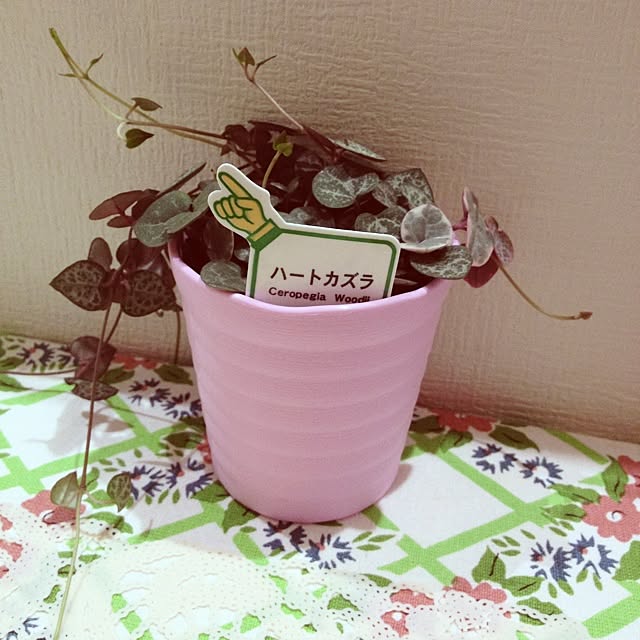 mihoさんの実例写真